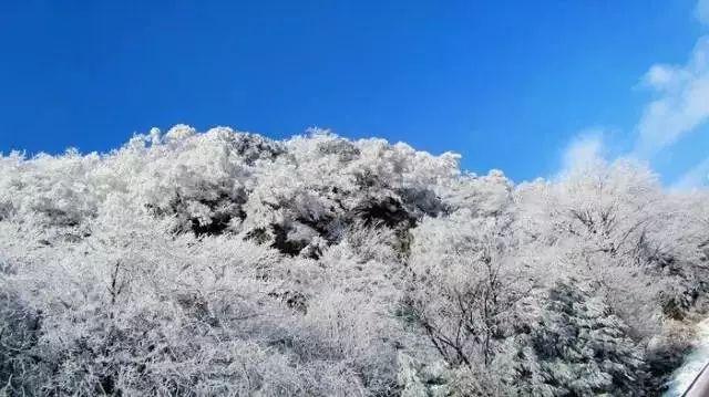 影视工厂