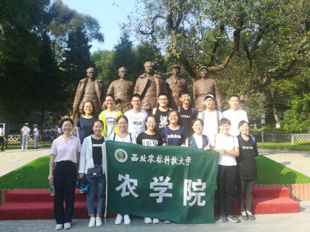 支撑自治区农牧业提质增效!这个中心在行动→